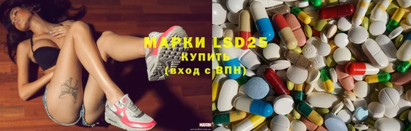 прущие грибы Алзамай