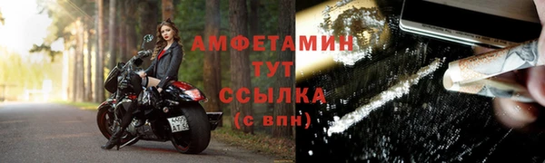 прущие грибы Алзамай