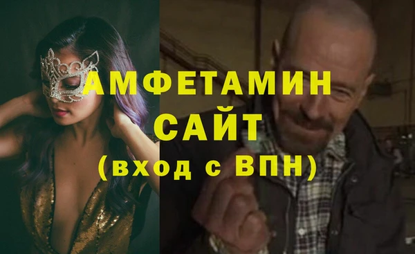 прущие грибы Алзамай