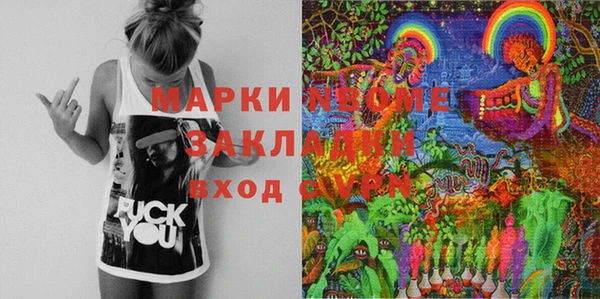 прущие грибы Алзамай