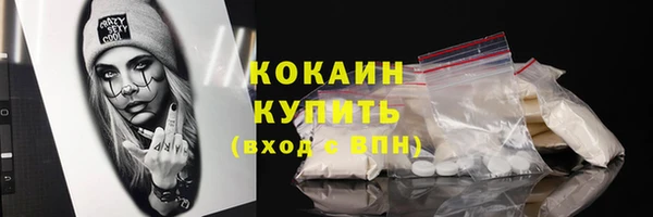 сатива Няндома