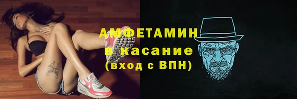 прущие грибы Алзамай