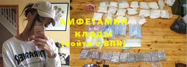 прущие грибы Алзамай