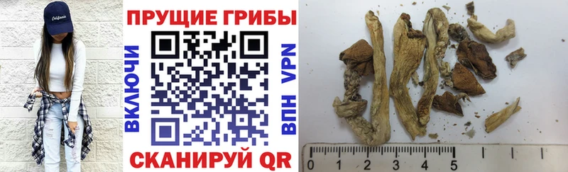 Галлюциногенные грибы прущие грибы  Асино 